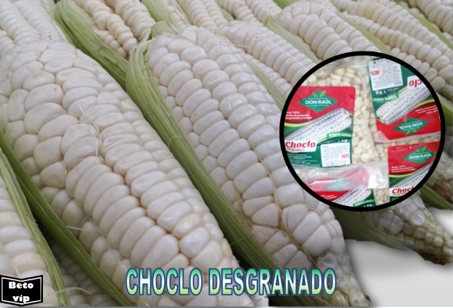 CHOCLO CONGELADO en Chile ⋆ Productos y Alimentos Peruanos ⋆ Beto VIP